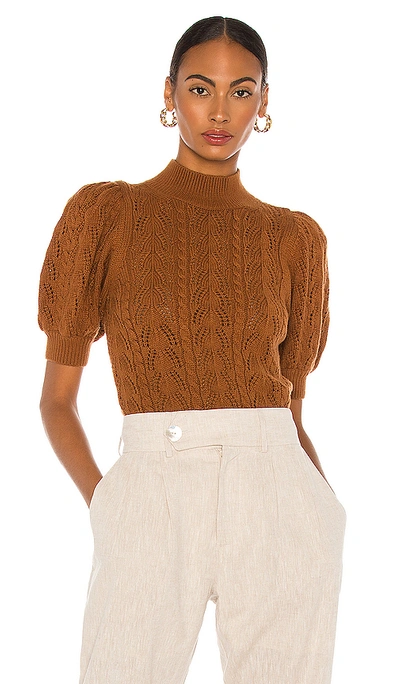 Shop Alice And Olivia Kyoko Turtleneck Pullover In Camel