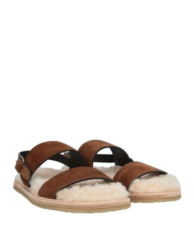 Shop Saint Laurent Sandals In Brown