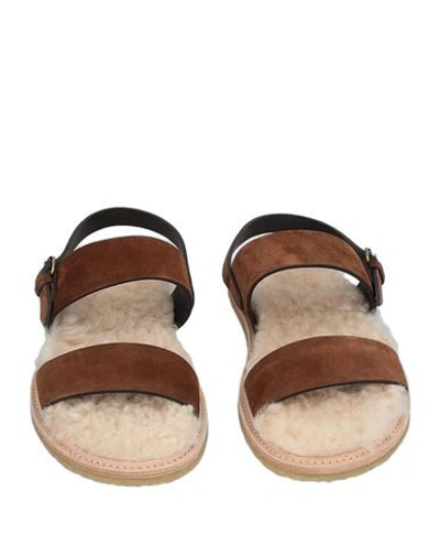 Shop Saint Laurent Sandals In Brown