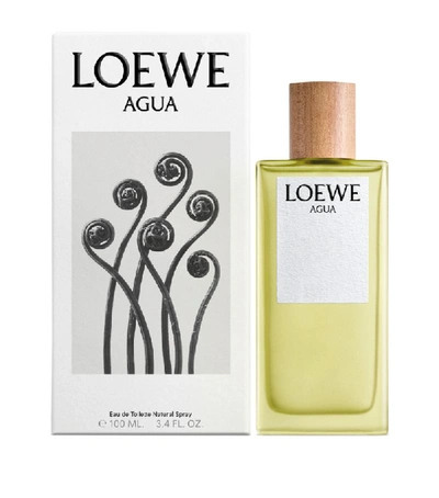 Shop Loewe Agua Eau De Toilette (100ml) In White
