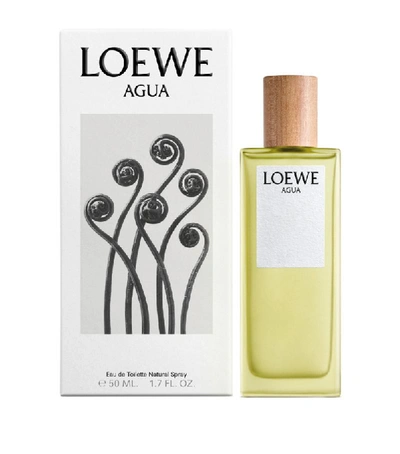 Shop Loewe Agua Eau De Toilette (50ml) In White