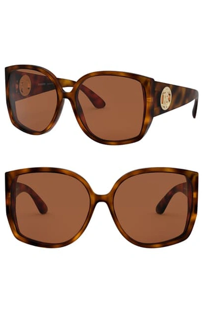 Shop Burberry 61mm Square Sunglasses In Matte Havana