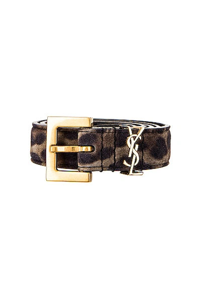 Shop Saint Laurent Logo Belt In Manto Grey Brown