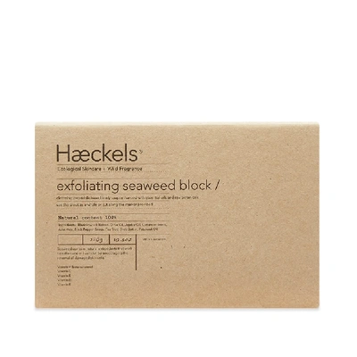 Shop Haeckels Exfoliating Seaweed Block In N/a