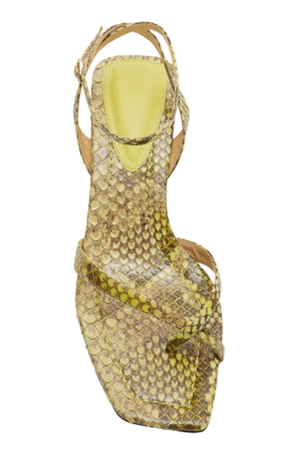 Shop Alexandre Birman Nelly Python And Leather Sandals In Yellow