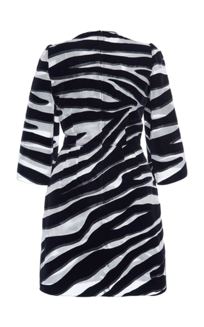 Shop Dolce & Gabbana Elbow Length Zebra Mini Dress In Animal