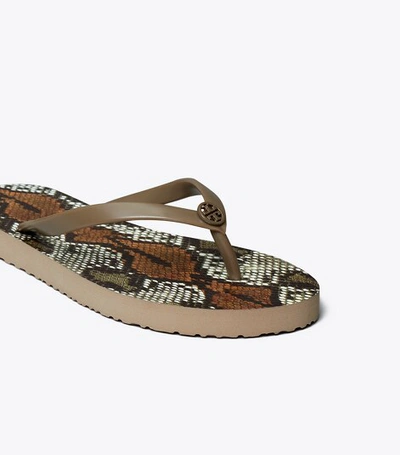 Tory Burch Printed Thin Flip-flop In Dark Classic Taupe/aspen Multi Printed  S | ModeSens