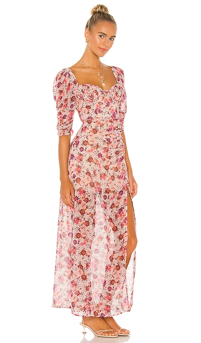 Shop For Love & Lemons Evie Maxi Dress In Tea Rose