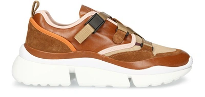 Shop Chloé Sonnie Sneakers In Autumnal Brown