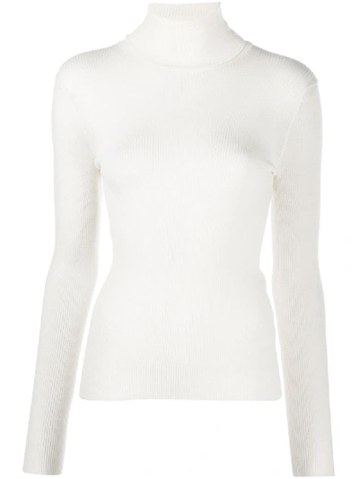 Shop Nuur Roll-neck Fitted Jumper In Neutrals
