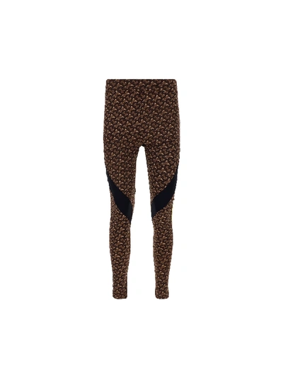 Shop Burberry Leggins In Bridle Brown Ip Pttn