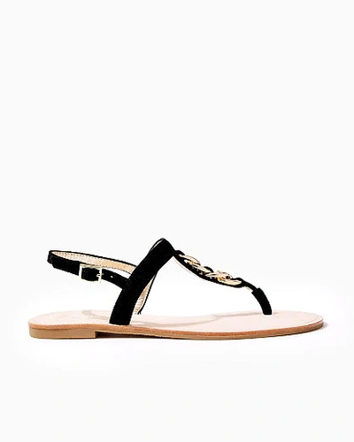 Shop Lilly Pulitzer Largo T-strap Suede Sandal In Onyx