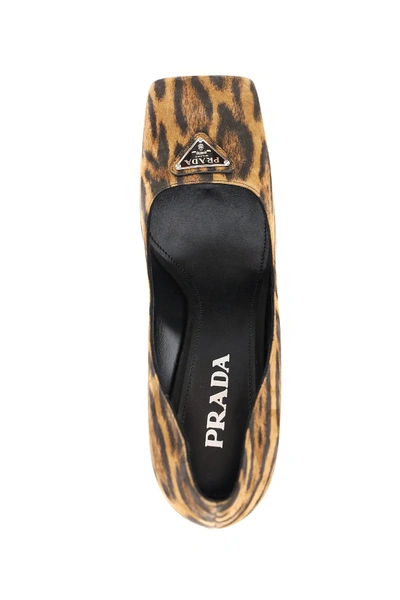 Shop Prada Leopard Print Pumps In Brown,black