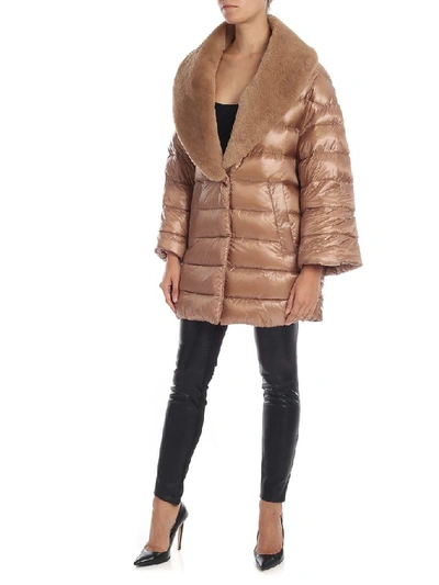 Shop Herno Women's Brown Polyester Coat