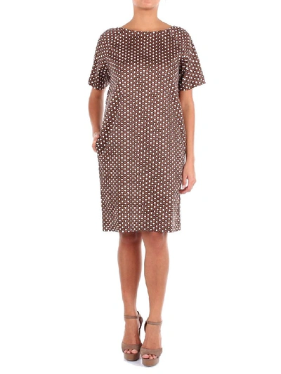 Shop Altea Women's Brown Cotton Dress