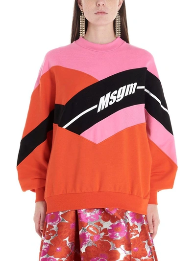 Shop Msgm Women's Multicolor Cotton Sweatshirt