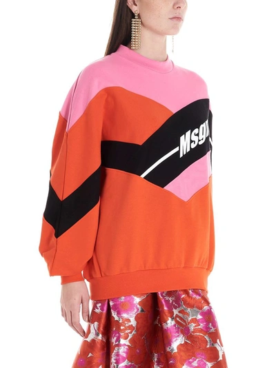 Shop Msgm Women's Multicolor Cotton Sweatshirt