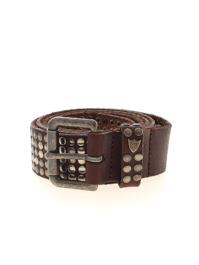 Shop Htc All-over Studs Belt In Brown