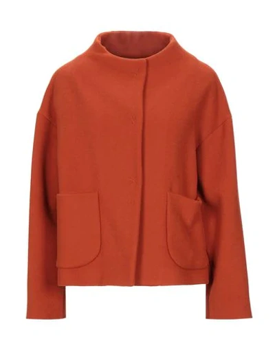 Shop Antonelli Sartorial Jacket In Orange