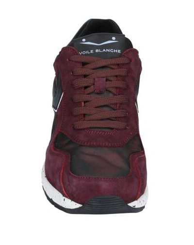 Shop Voile Blanche Sneakers In Maroon