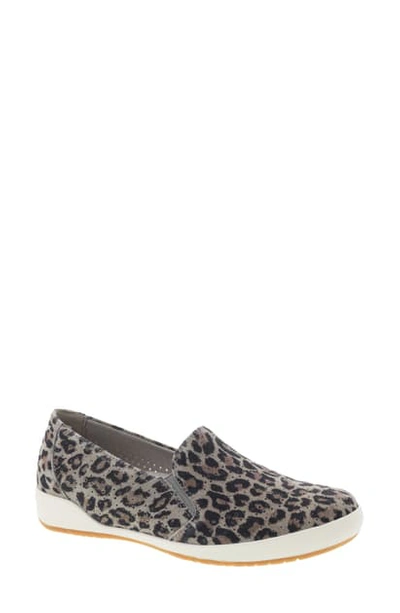 Shop Dansko Odina Sneaker In Leopard Suede