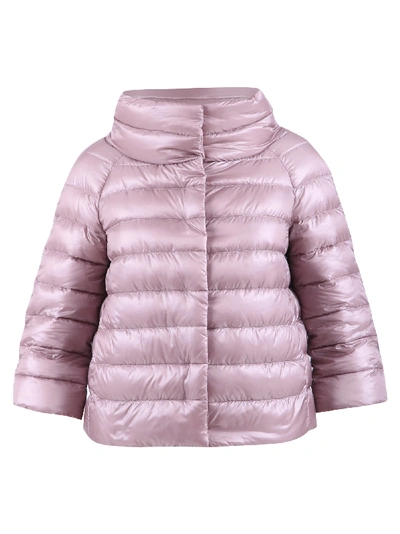 Shop Herno Amelia Jacket In Pink