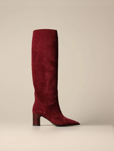 Shop Casadei Boot In Suede In Burgundy