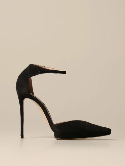 Shop Casadei Camos Pumps In Suede In Black