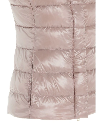 Shop Herno Women's Pink Polyamide Vest