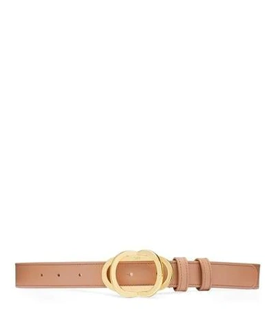 Shop Stuart Weitzman Double Buckle Signature Belt 25mm In Tan Leather