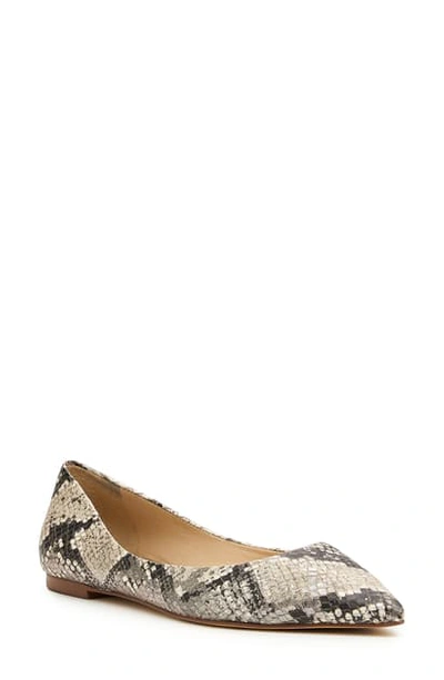 Shop Botkier Annika Pointed Toe Flat In Snake Print Leather