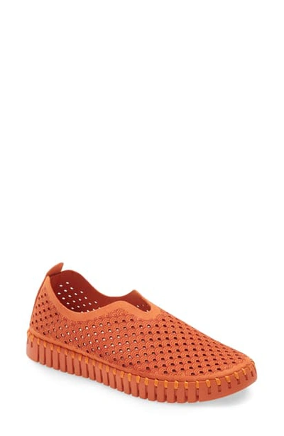 Shop Ilse Jacobsen Tulip 139 Perforated Slip-on Sneaker In All Camelia Fabric
