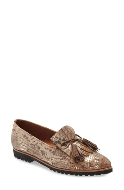 Shop Paul Green Diana Kiltie Fringe Pointed Toe Loafer In Python Print