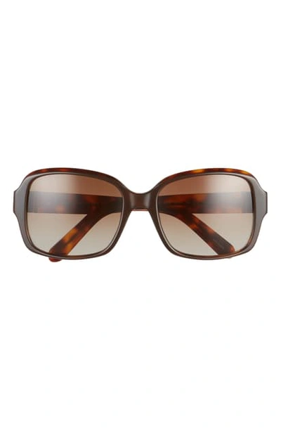 Shop Kate Spade Annor 54mm Polarized Sunglasses In Dark Havana/ Brown Grad
