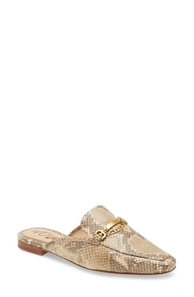 Evelan chain loafer hot sale mule