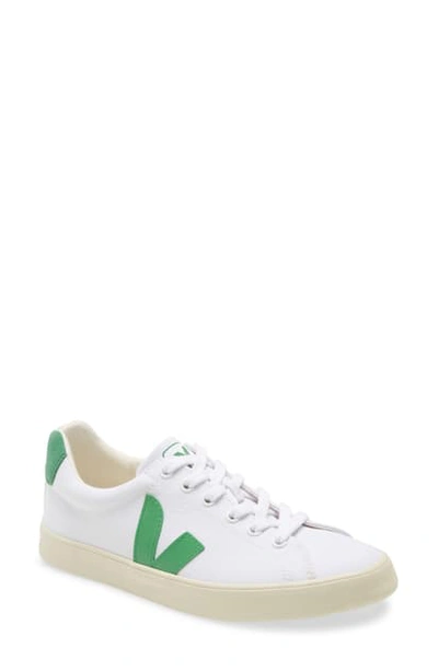 Shop Veja Esplar Se Sneaker In White Leaf