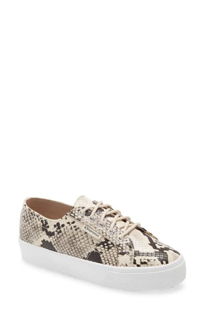 Shop Superga 2730 Snake Embossed Platform Sneaker In Taupe Snake Print