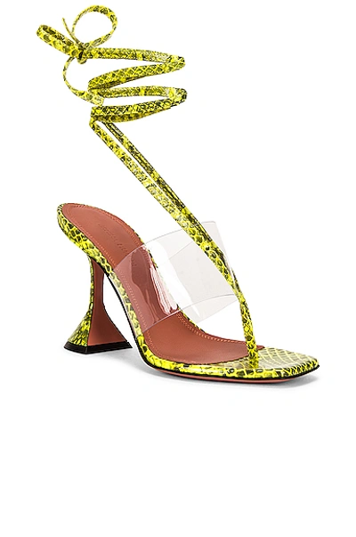 Shop Amina Muaddi Zula Sandal In Lime Watersnake