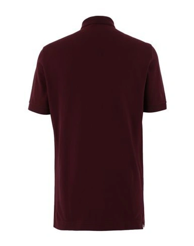 Shop Dolce & Gabbana Man Polo Shirt Burgundy Size 36 Cotton In Red
