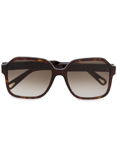 Shop Chloé Oversized Tortoiseshell Sunglasses In Brown