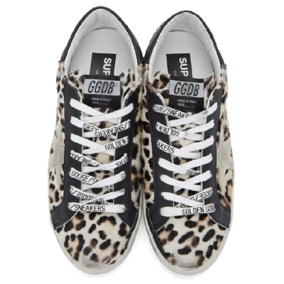 Shop Golden Goose Beige And Brown Horsy Superstar Sneakers In 80318 Brown