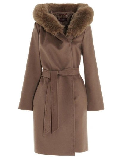 Shop Max Mara Studio Women's Brown Wool Coat