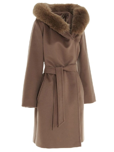 Shop Max Mara Studio Women's Brown Wool Coat