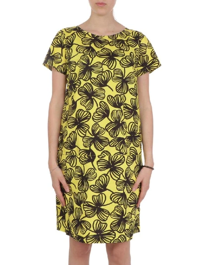 Shop Robert Friedman Women's Yellow Cotton Dress