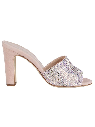 Shop Giuseppe Zanotti Design Women's Pink Suede Sandals