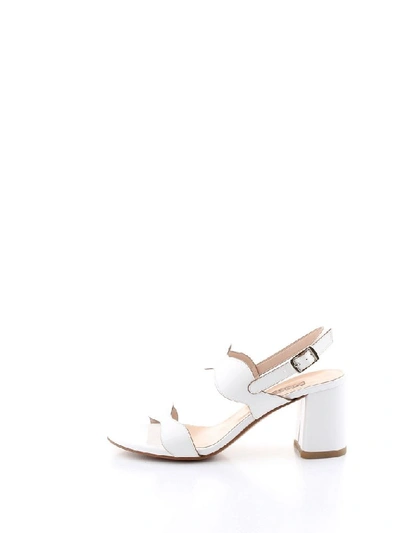 Shop Albano Women's White Leather Sandals