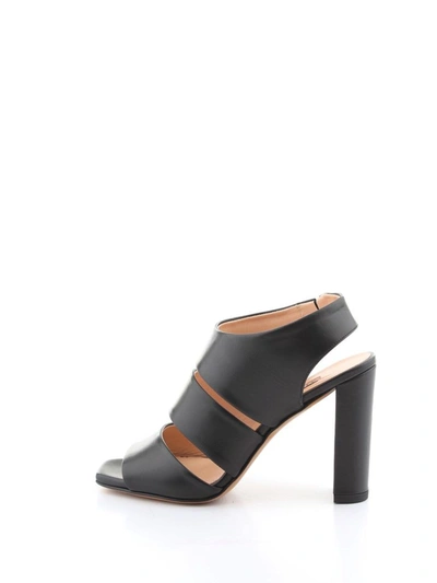 Shop Albano Women's Black Leather Sandals