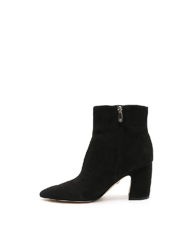 Shop Sam Edelman Women's Black Suede Ankle Boots