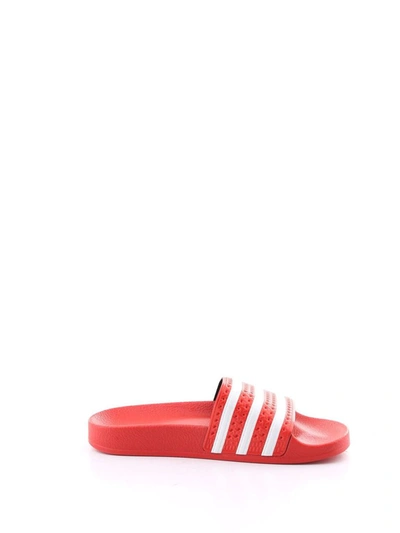 Shop Adidas Originals Adidas Women's Red Rubber Sandals