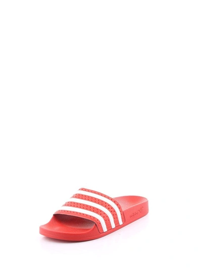 Shop Adidas Originals Adidas Women's Red Rubber Sandals